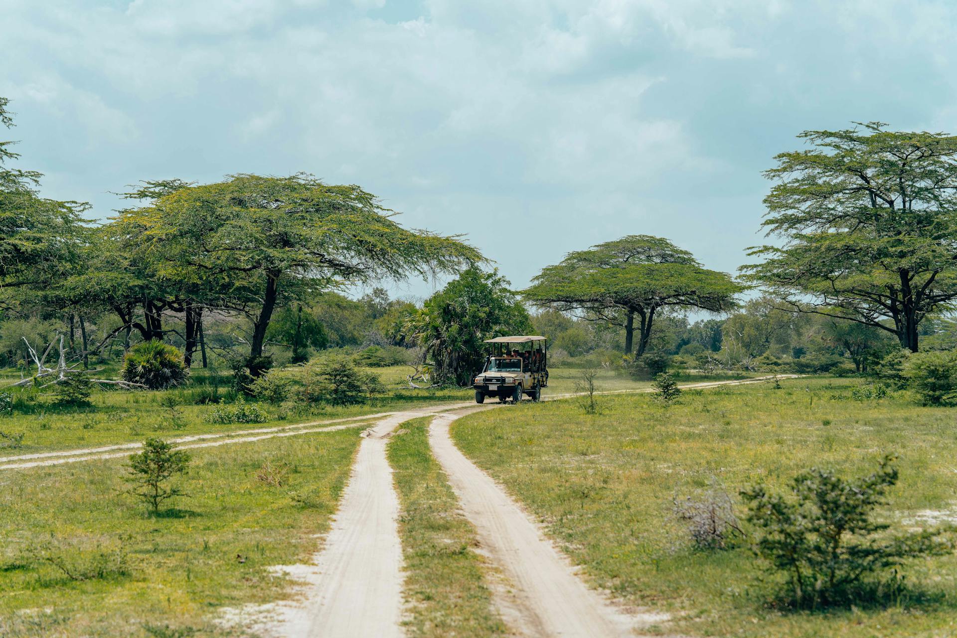 8-Day Ultimate Expedition Through Kenya’s Wildlife